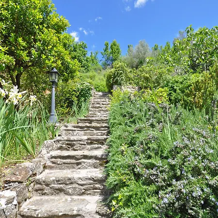 Borgo Del Castagno